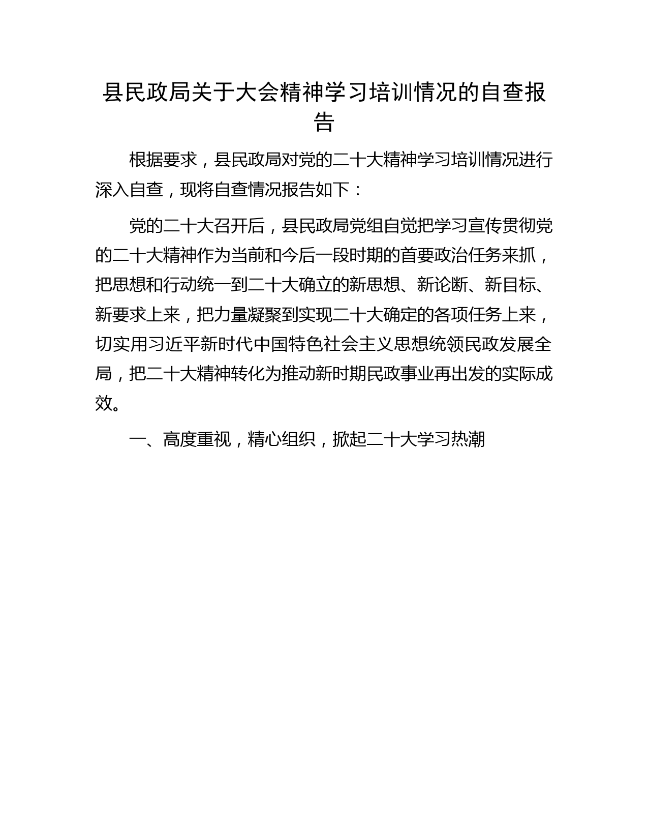 二十大精神学习培训情况的自查总结报告（民政2700字）