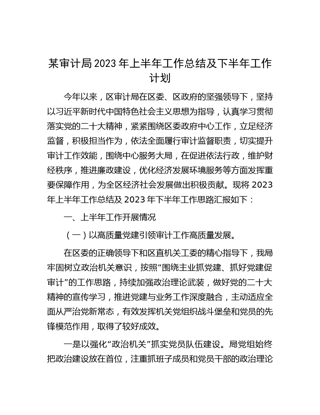 某审计局2023年上半年工作总结及下半年工作计划
