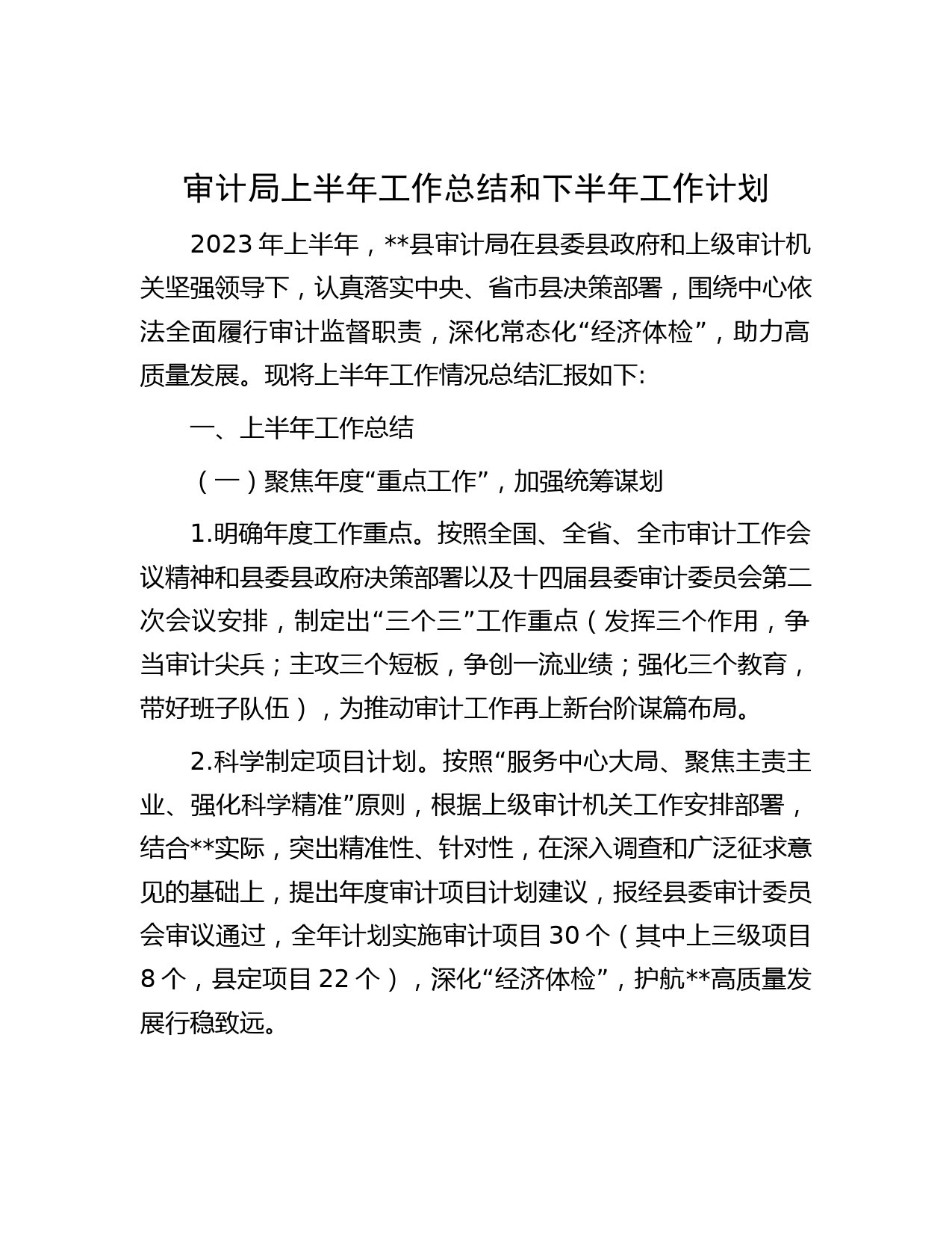 审计局上半年工作总结和下半年工作计划