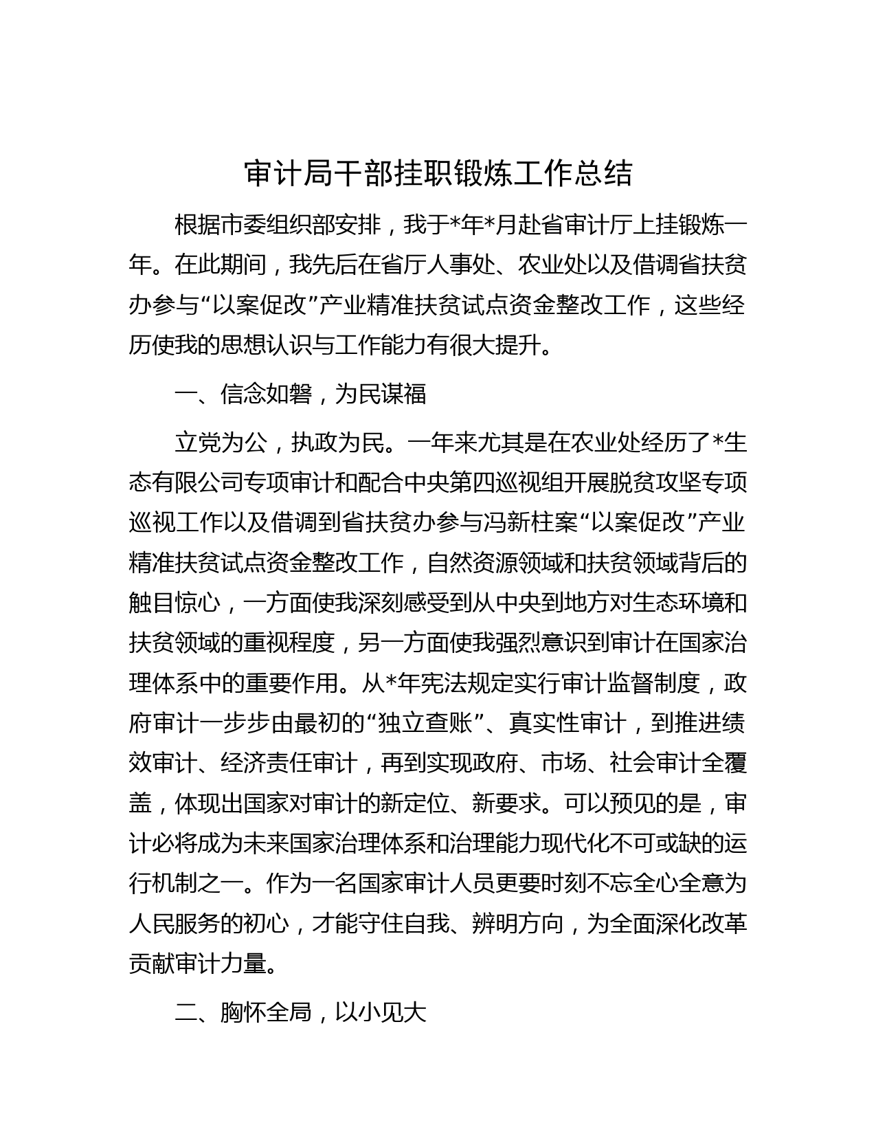 审计局干部挂职锻炼工作总结