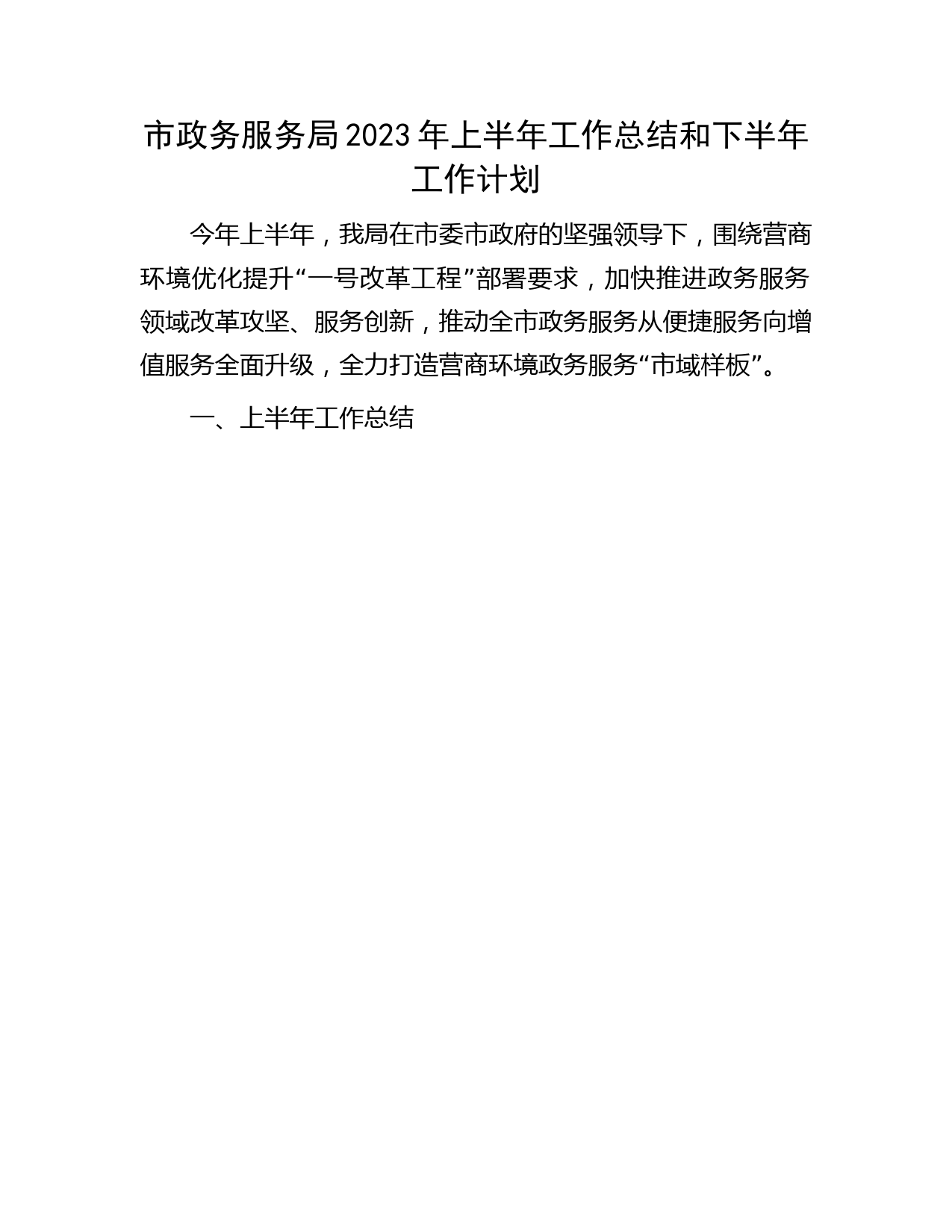 市政务服务局2023年上半年工作总结和下半年工作计划