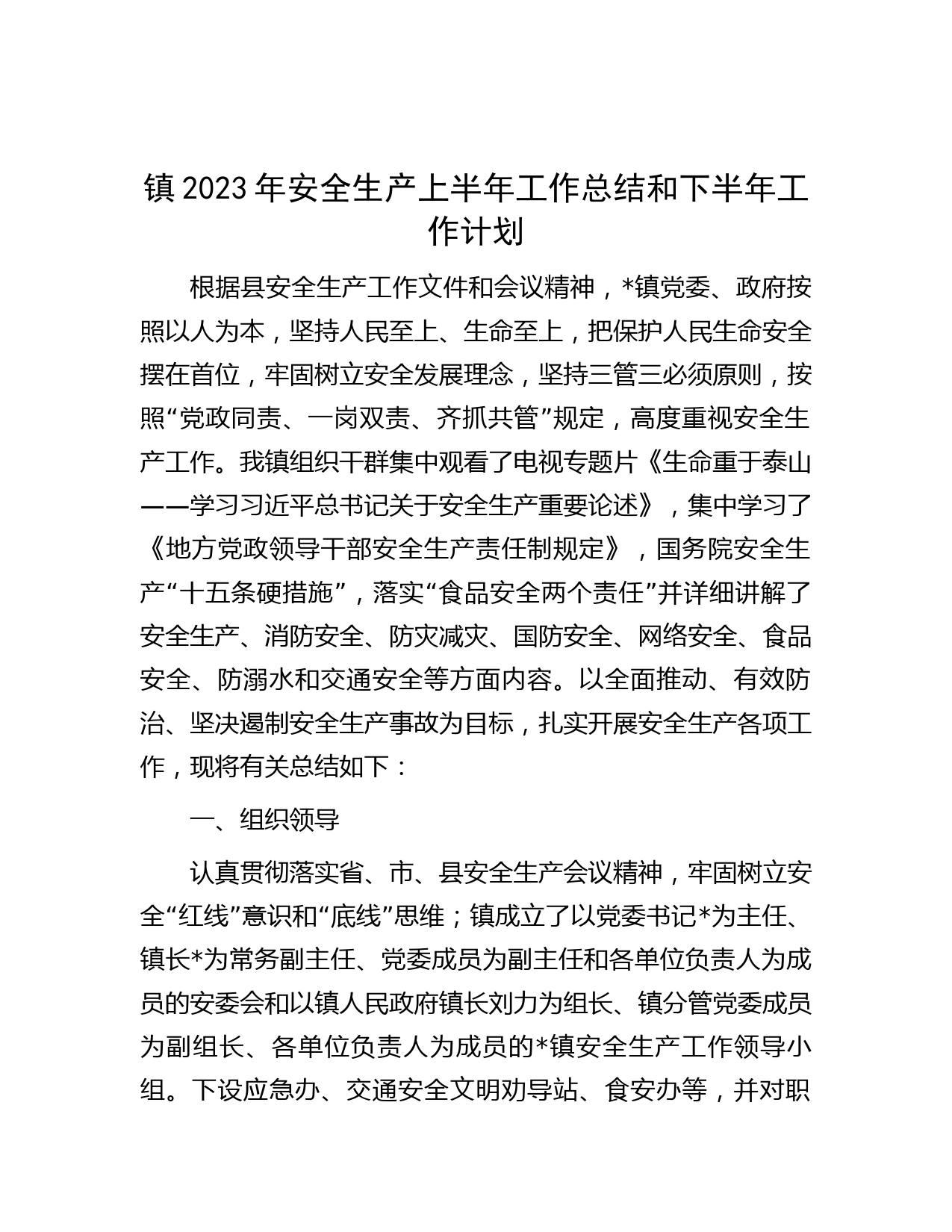 镇2023年安全生产上半年工作总结和下半年工作计划
