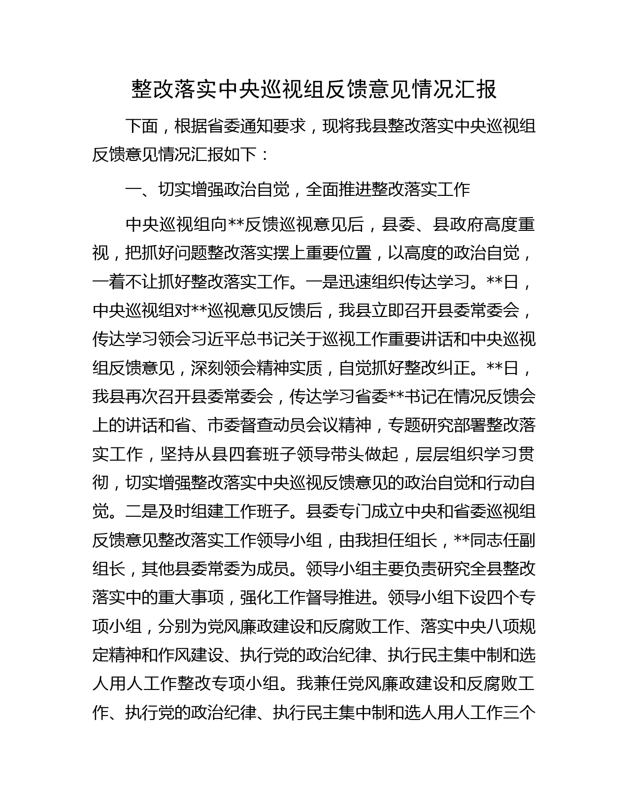 整改落实中央巡视组反馈意见情况汇报