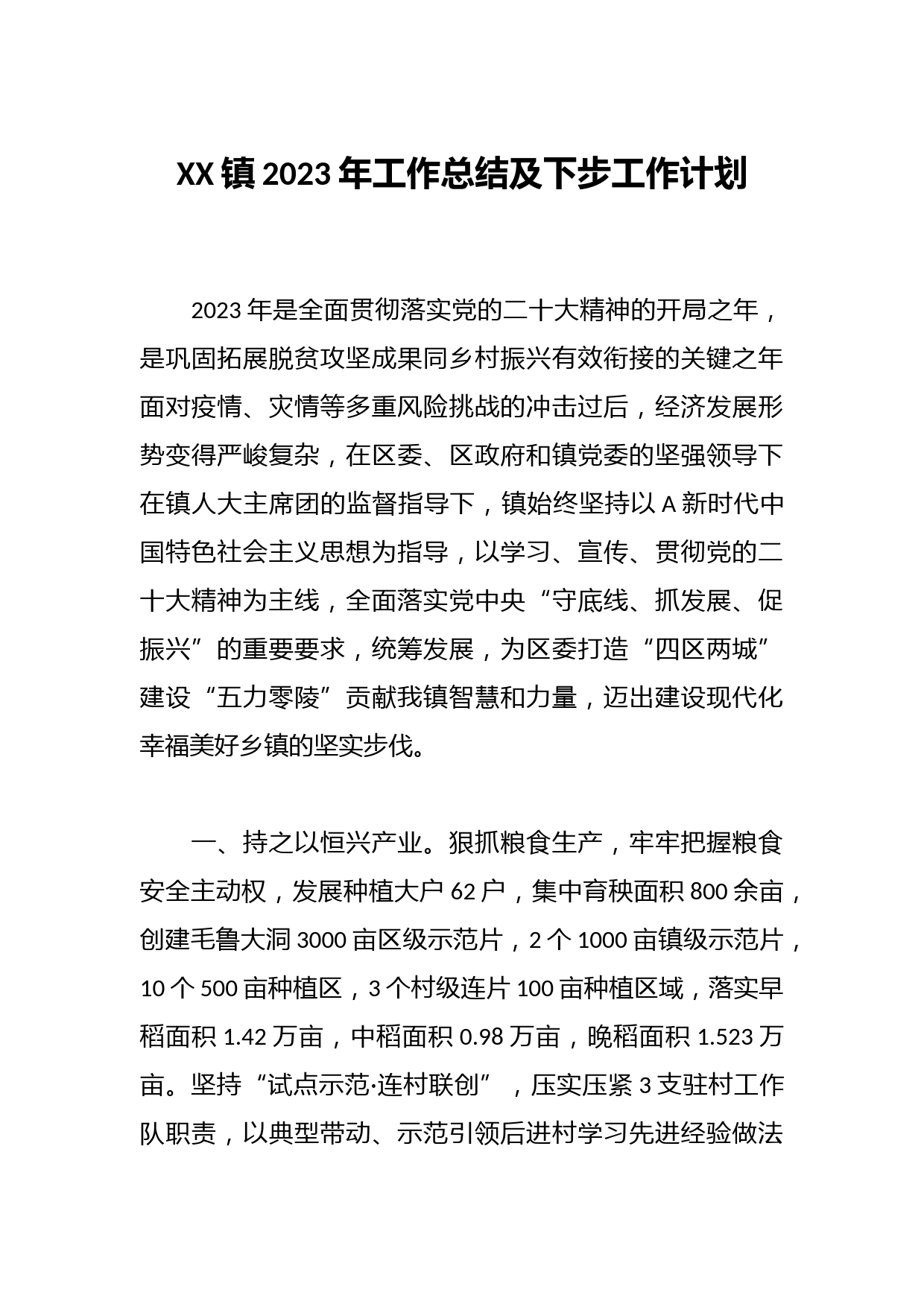 XX镇2023年工作总结及下步工作计划