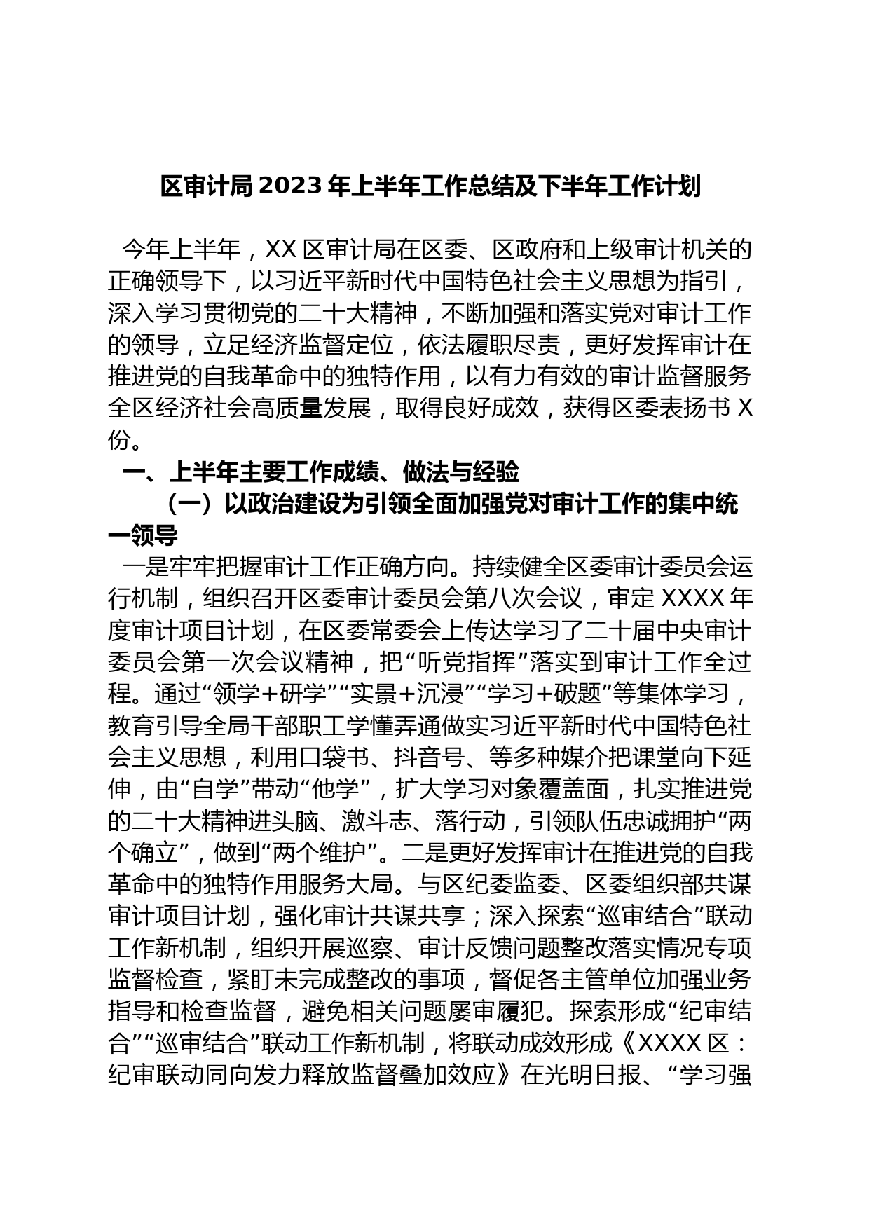 区审计局2023年上半年工作总结及下半年工作计划