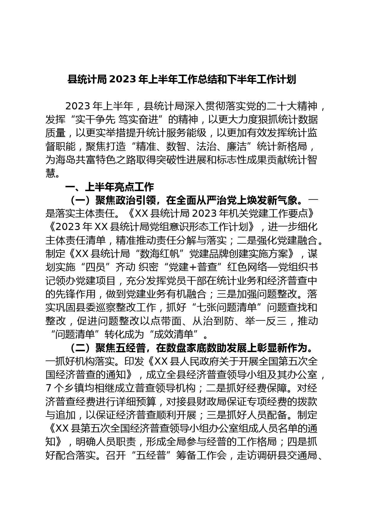 县统计局2023年上半年工作总结和下半年工作计划