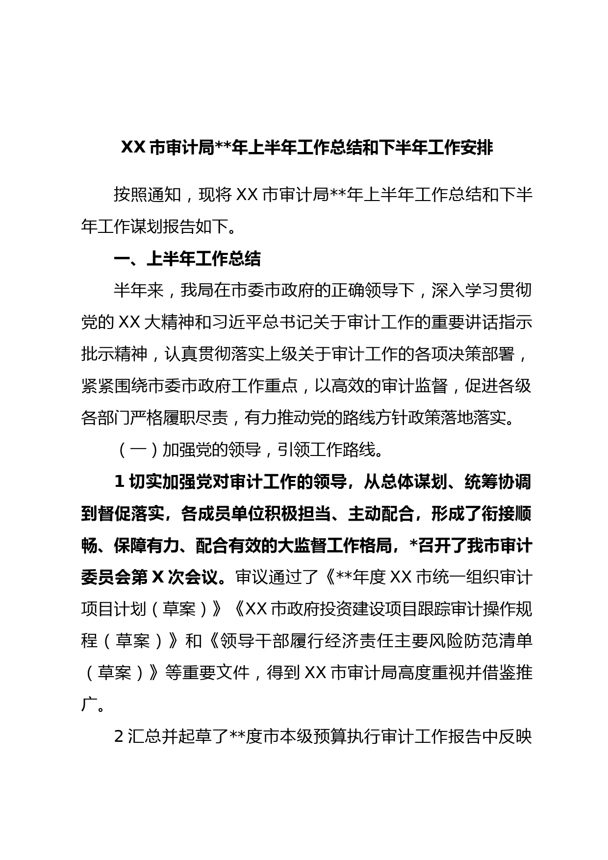 XX市审计局年上半年工作总结和下半年工作安排