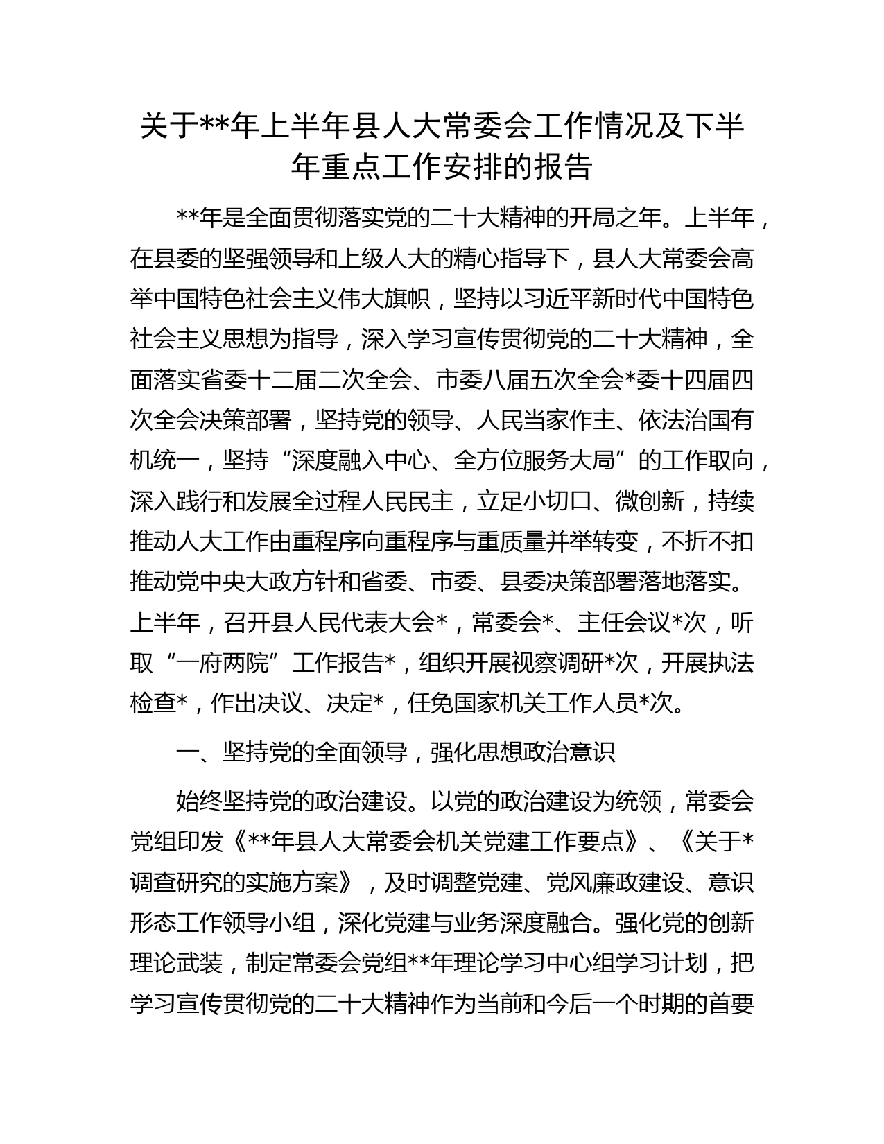 年上半年人大工作情况总结报告