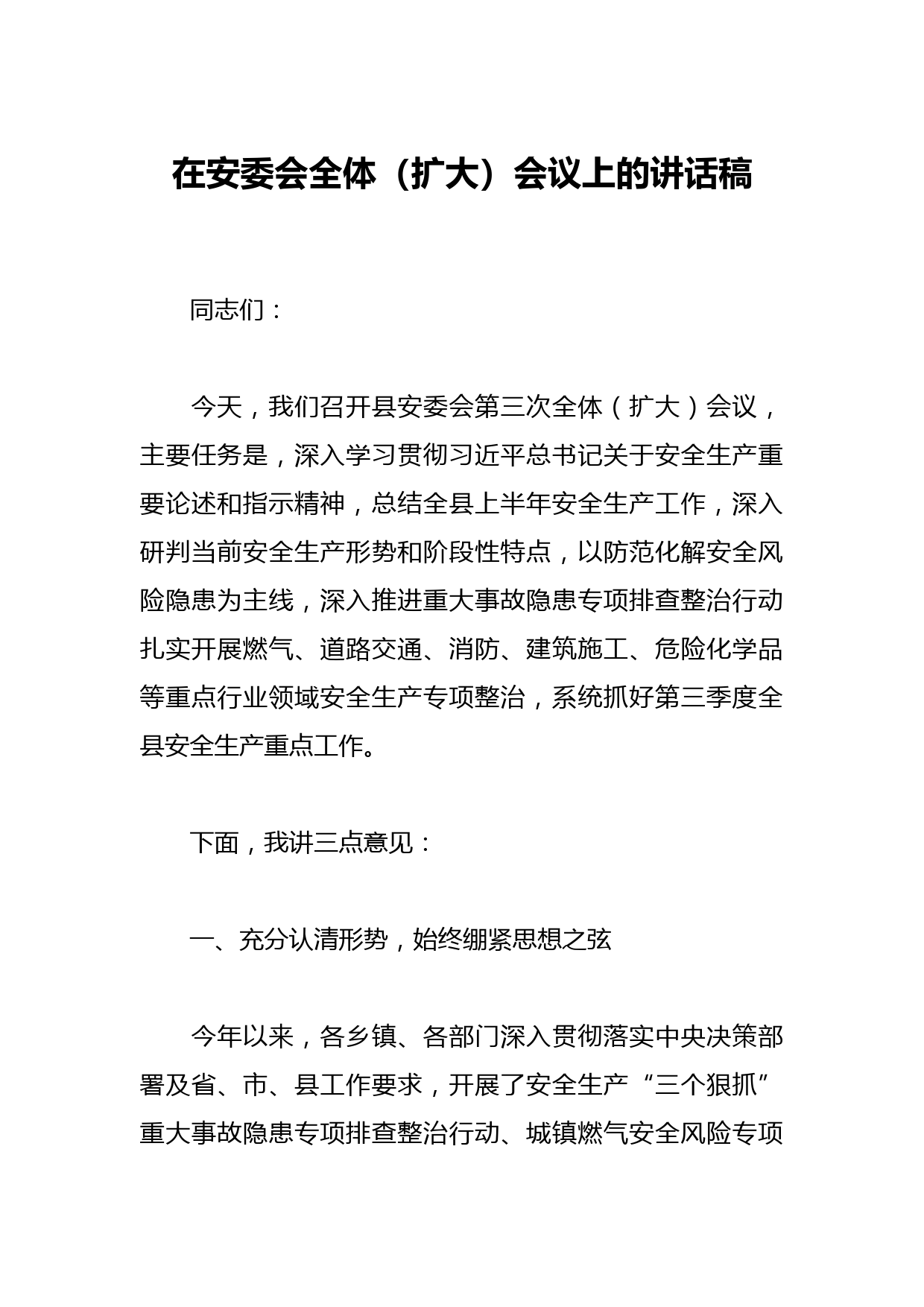在安委会全体（扩大）会议上的讲话稿
