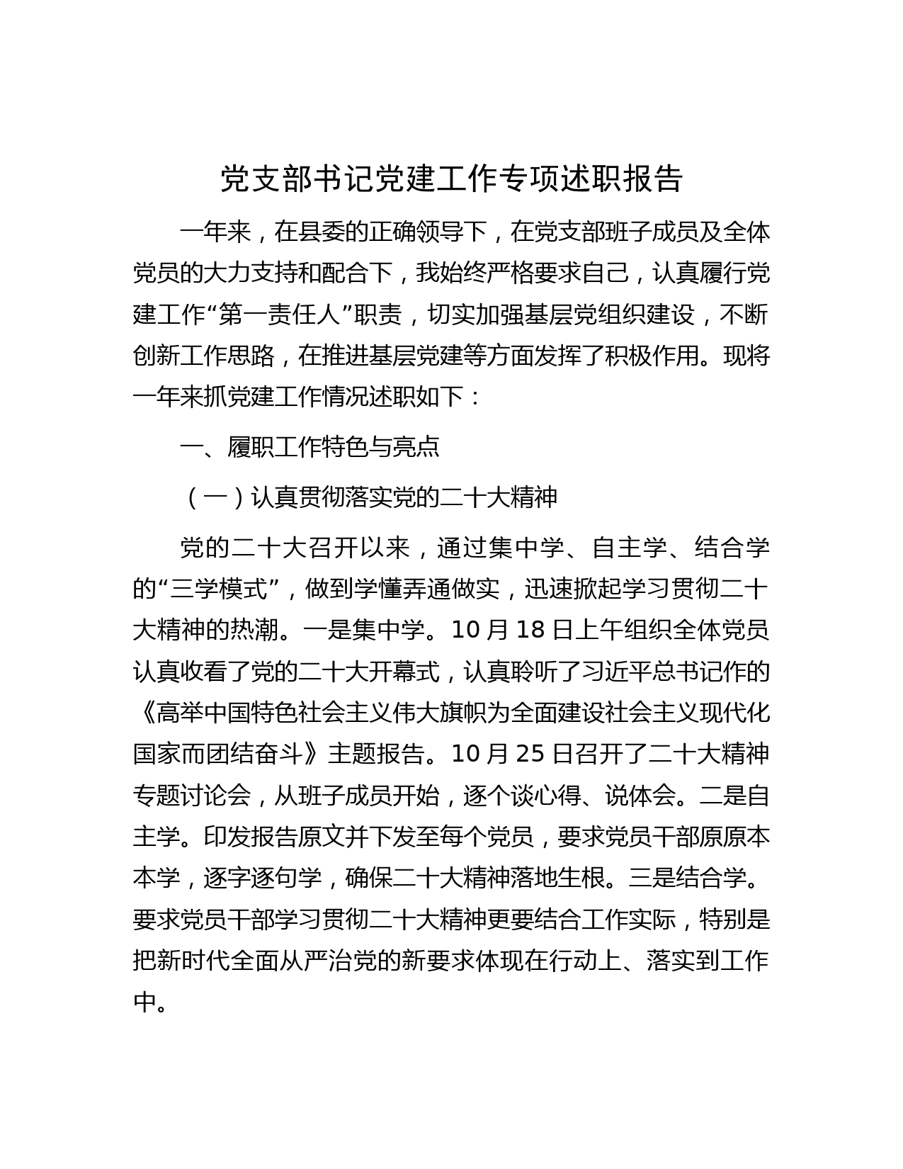 党支部书记党建工作专项述职报告