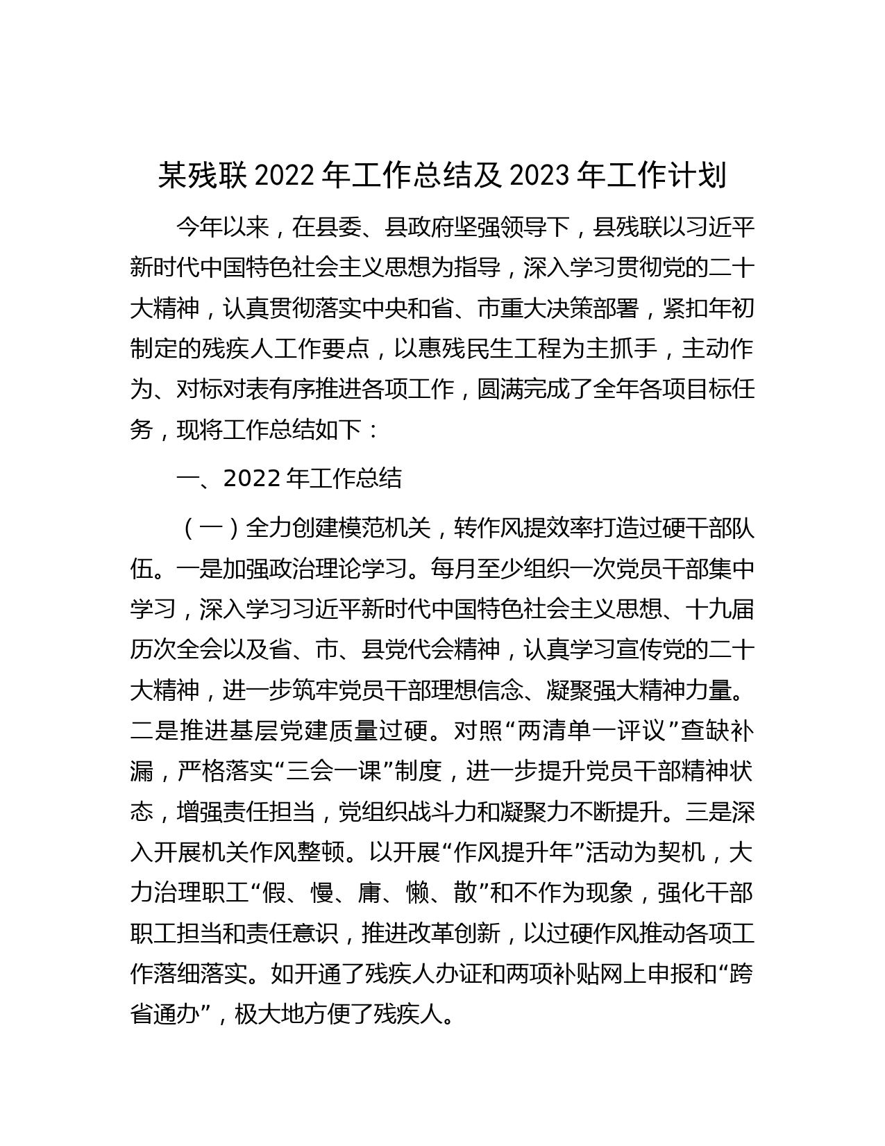 某残联2022年工作总结及2023年工作计划