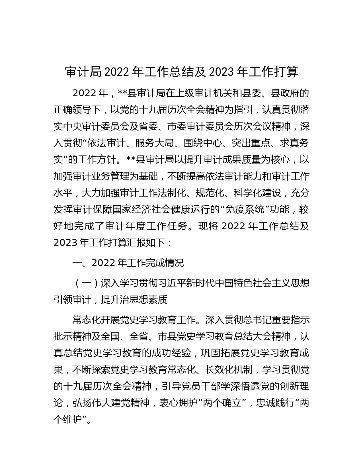 审计局2022年工作总结及2023年工作打算