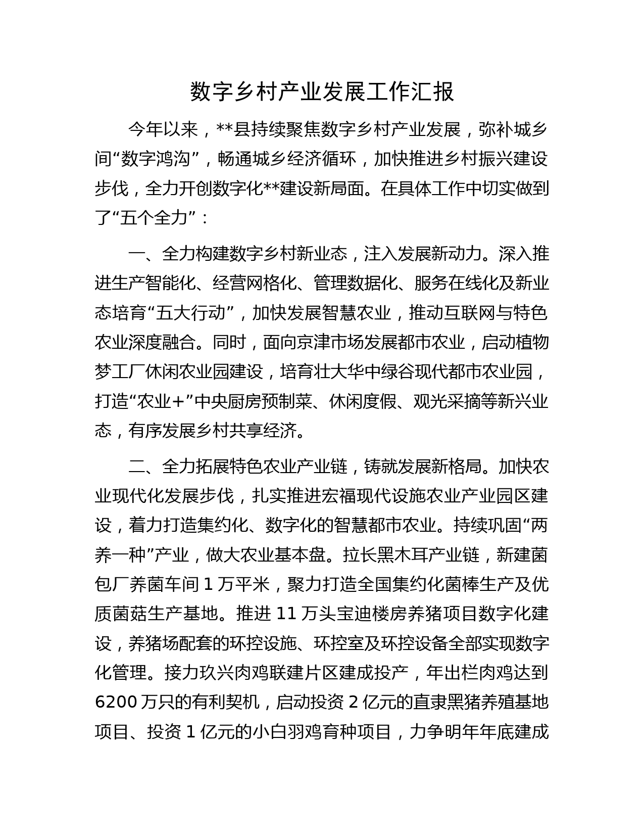 数字乡村产业发展工作汇报