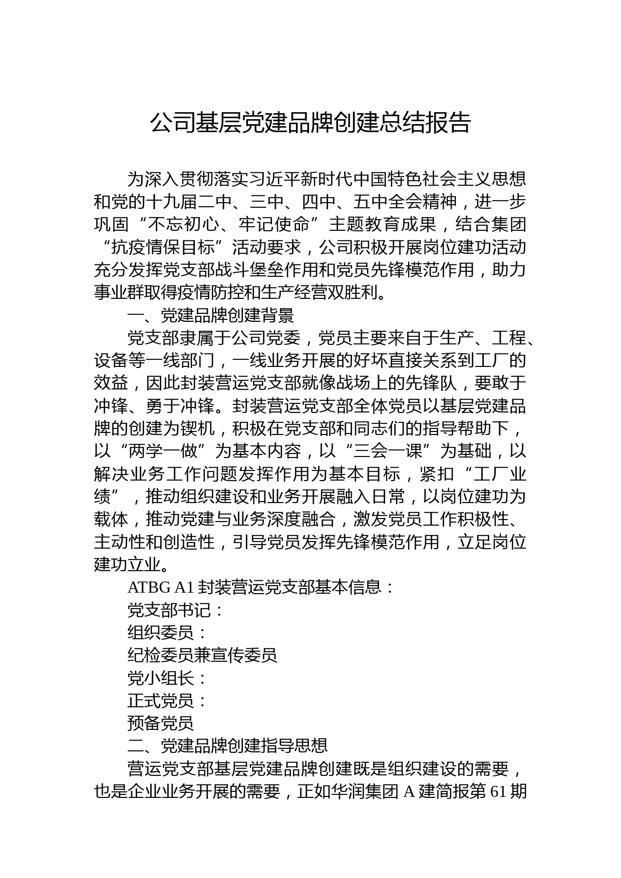 公司基层党建品牌创建总结报告