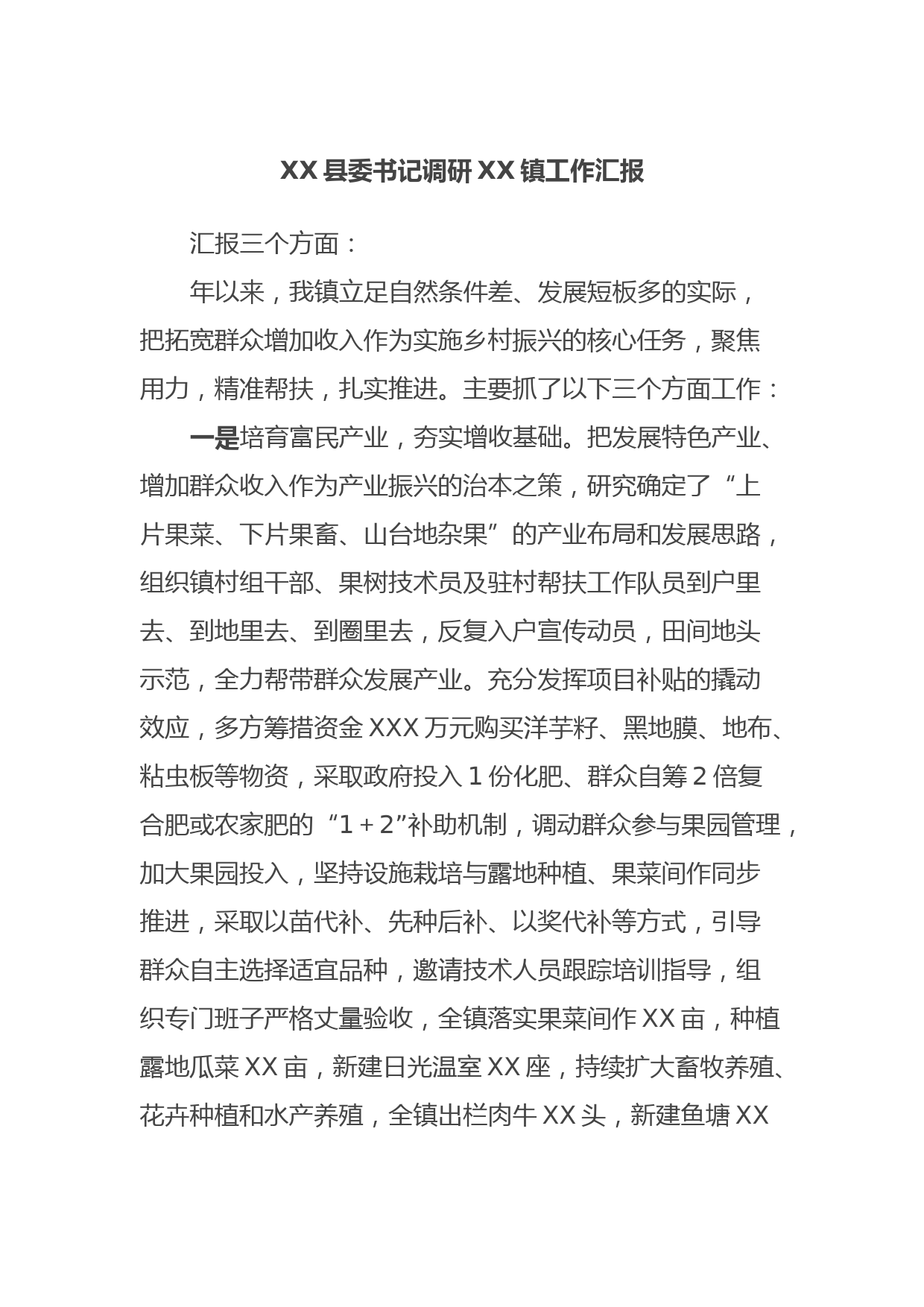 XX县委书记调研XX镇工作汇报