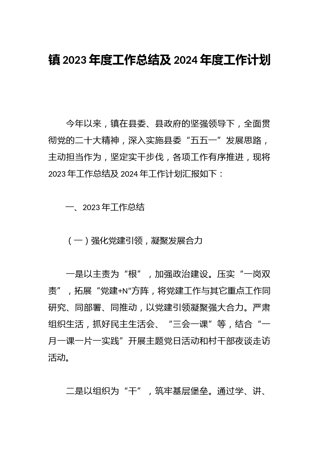 镇2023年度工作总结及2024年度工作计划