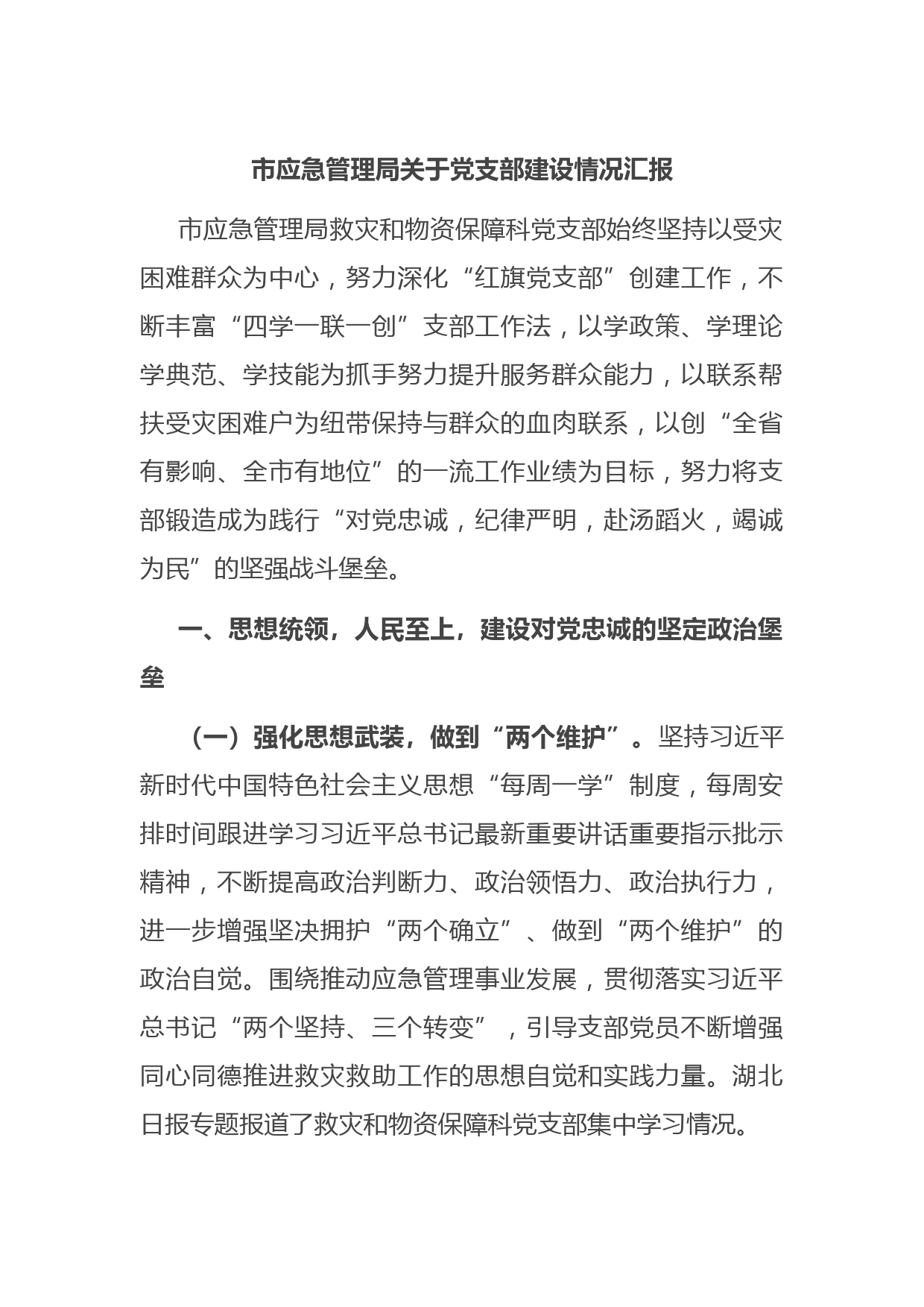 市应急管理局关于党支部建设情况汇报