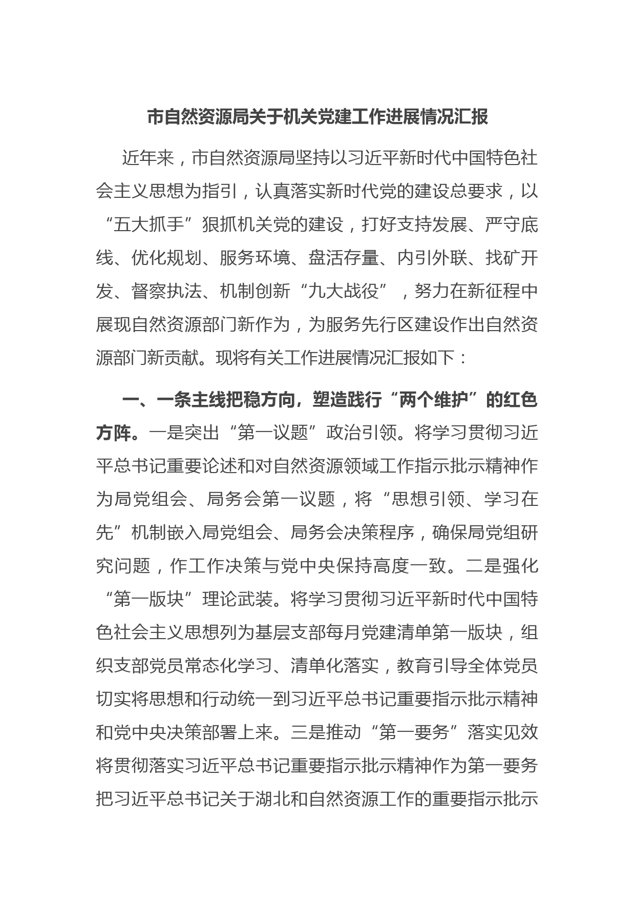 市自然资源局关于机关党建工作进展情况汇报