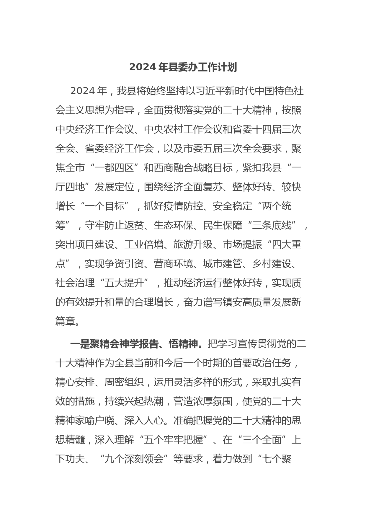 2024年县委办工作计划