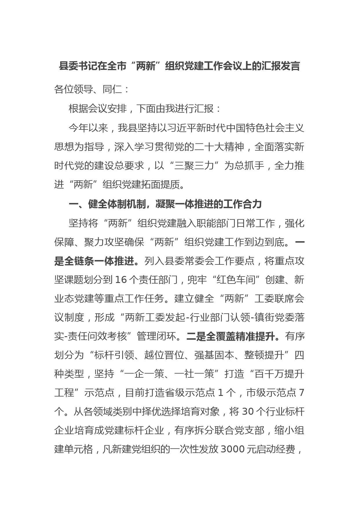 县委书记在全市“两新”组织党建工作会议上的汇报发言