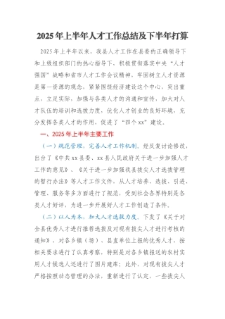 2025年上半年人才工作总结及下半年打算