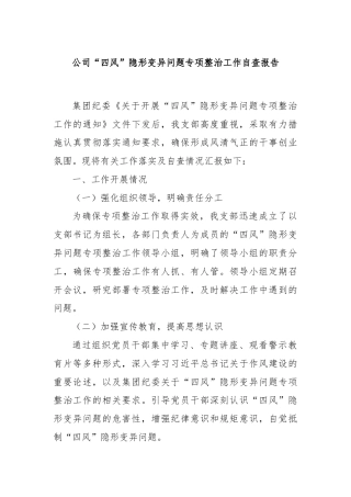 公司“四风”隐形变异问题专项整治工作自查报告