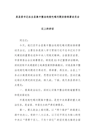 某县委书记在全县集中整治违规吃喝问题安排部署动员会议上的讲话