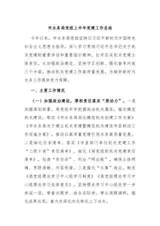 市水务局党组上半年党建工作总结