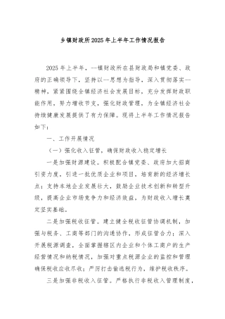 乡镇财政所2025年上半年工作情况报告