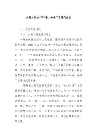 乡镇水利站2025年上半年工作情况报告