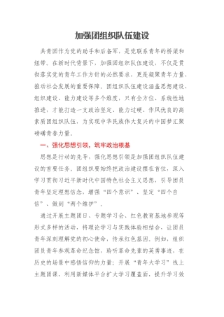 加强团组织队伍建设