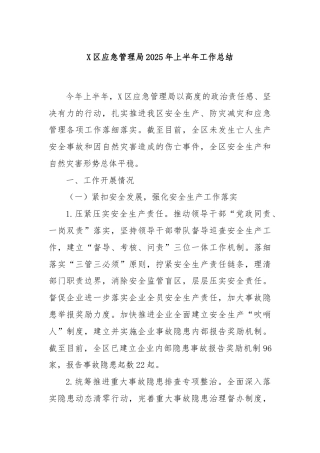 X区应急管理局2025年上半年工作总结