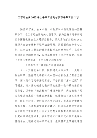 X市司法局2025年上半年工作总结及下半年工作计划