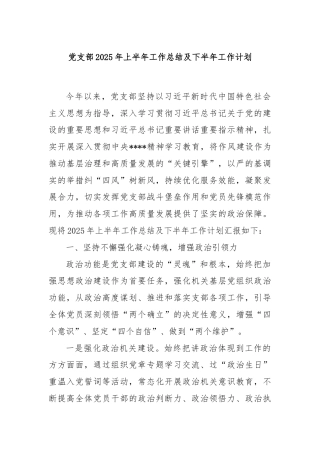 党支部2025年上半年工作总结及下半年工作计划
