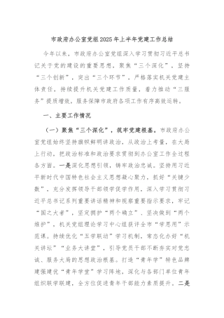 市政府办公室党组2025年上半年党建工作总结