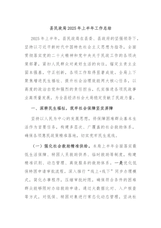 县民政局2025年上半年工作总结
