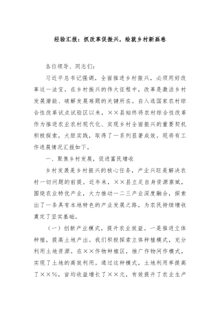 经验汇报：抓改革促振兴，绘就乡村新画卷