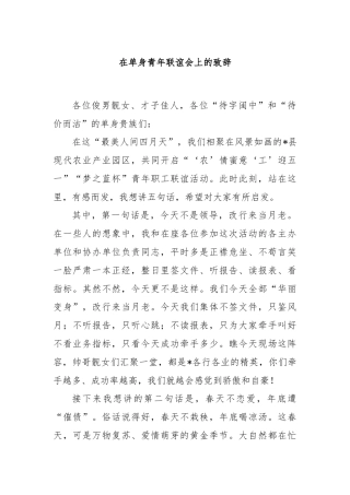 在单身青年联谊会上的致辞