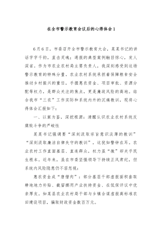 在全市警示教育会议后的心得体会1