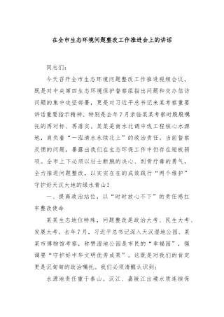 在全市生态环境问题整改工作推进会上的讲话