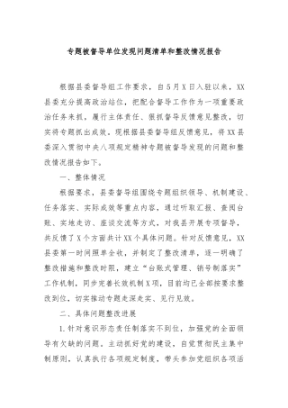 专题被督导单位发现问题清单和整改情况报告