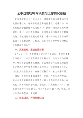 全市违规吃喝专项整治工作情况总结