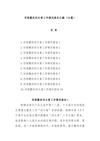 (10篇)巡视整改回头看工作情况报告汇编