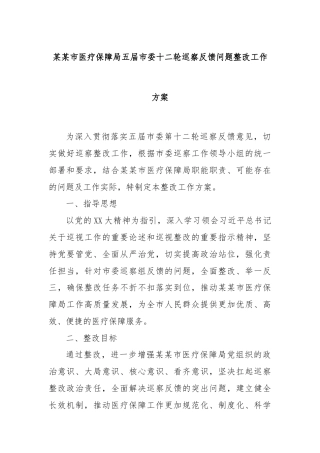 某某市医疗保障局五届市委十二轮巡察反馈问题整改工作方案
