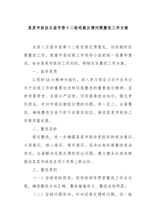 某某市政协五届市委十二轮巡察反馈问题整改工作方案