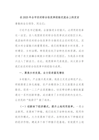 在2025年全市农村综合性改革经验交流会上的发言