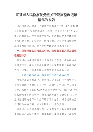 某某市人民检察院党组关于巡察整改进展情况的报告
