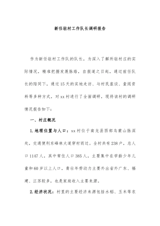 3.新任驻村工作队长调研报告