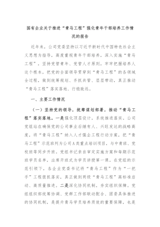 国有企业关于推进“青马工程”强化青年干部培养工作情况的报告