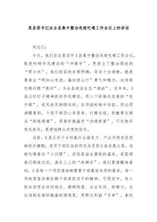 某县委书记在全县集中整治违规吃喝工作会议上的讲话